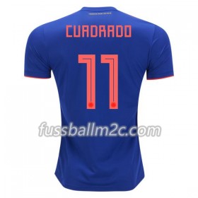 Fußballtrikots Kolumbien Cuadrado 11 Auswärts Trikotsatz WM 2018